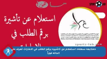 «متابعة سهلة» استعلام عن تأشيرة برقم الطلب في الإمارات تعرف على الحالة فوراً